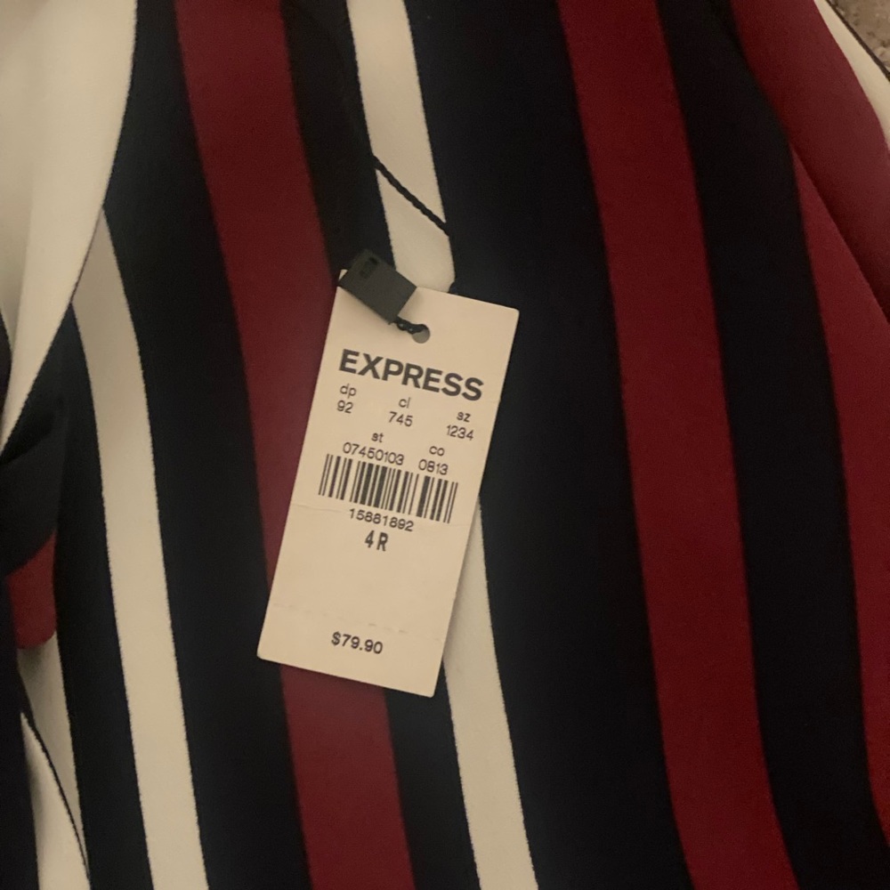 Express size 4 pants